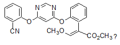 Carbendazim 50%WP Fungicida agrícola para orquídeas CAS 10605-21-7