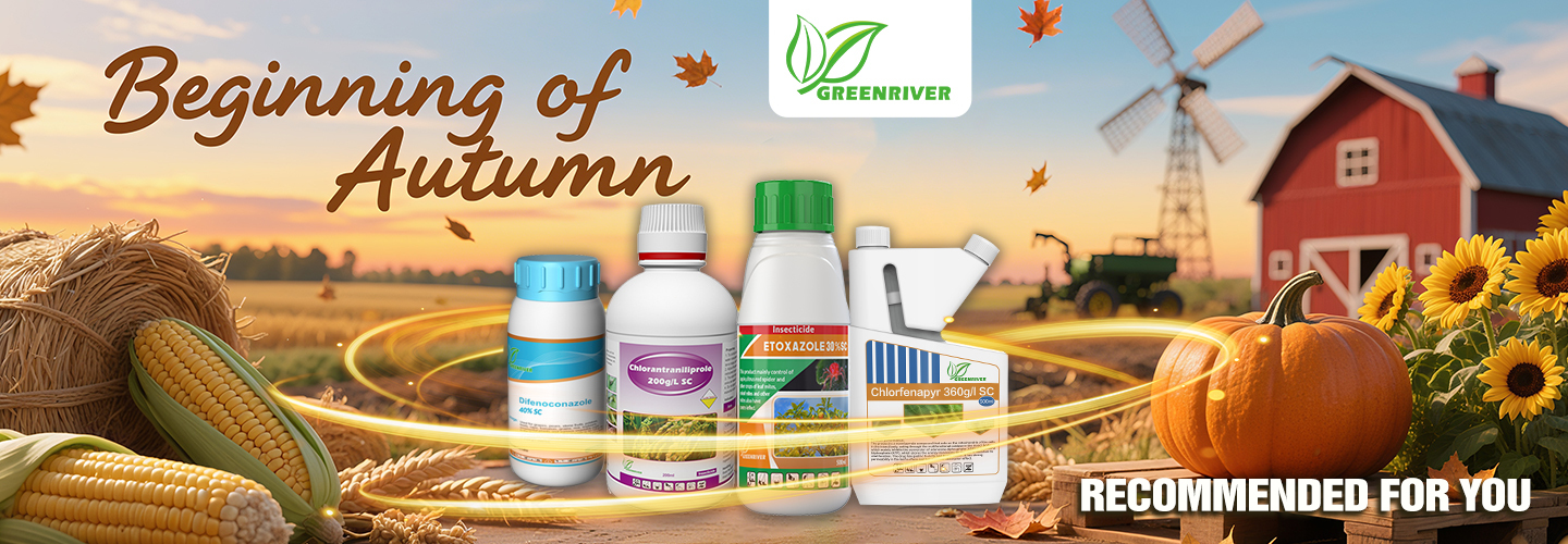 Calidad Los insecticidas fábrica