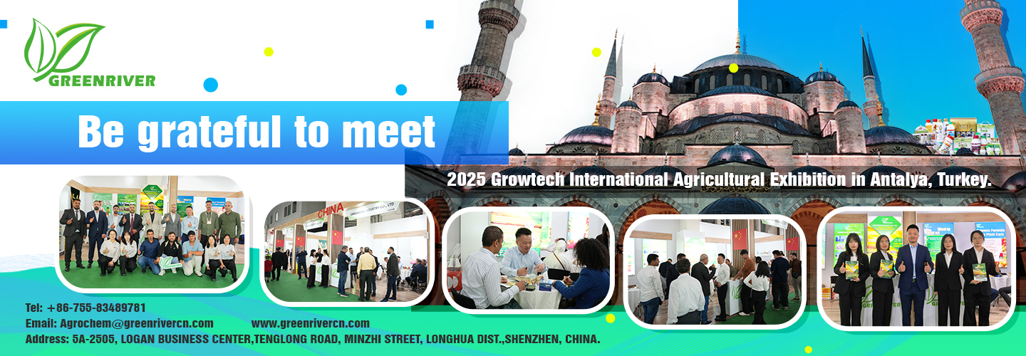 Calidad Los insecticidas fábrica