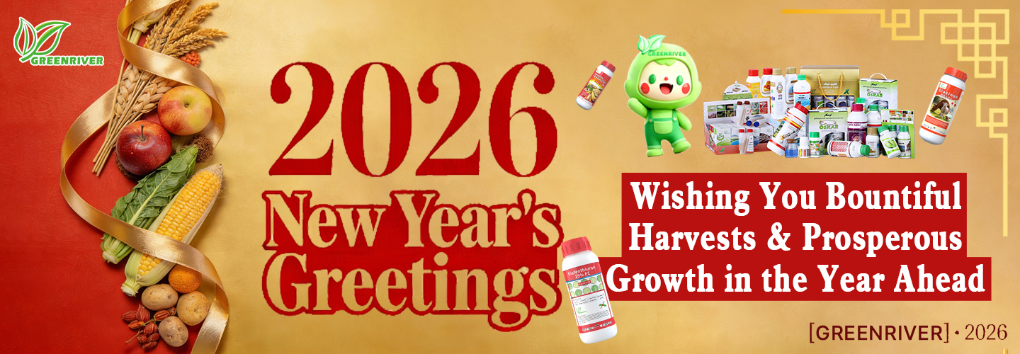 Calidad Los insecticidas fábrica