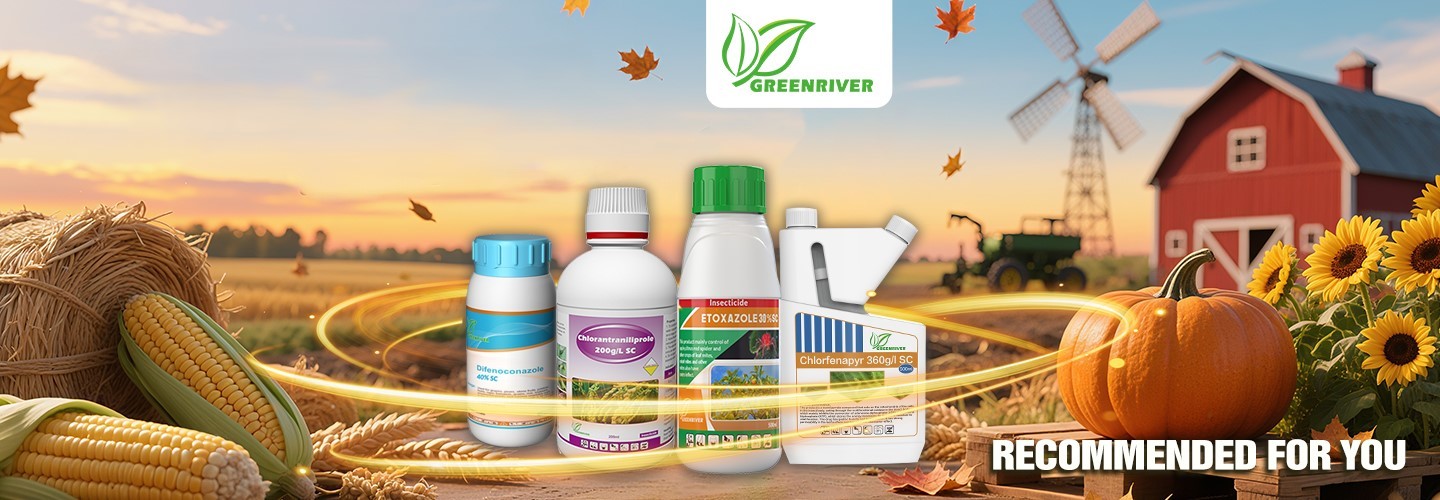 Calidad Los insecticidas fábrica