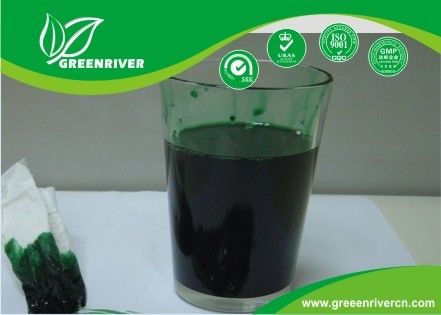 27.6%SL Paraquat Herbicide Grass Killer 4685-14-7 Agricultural Herbicides