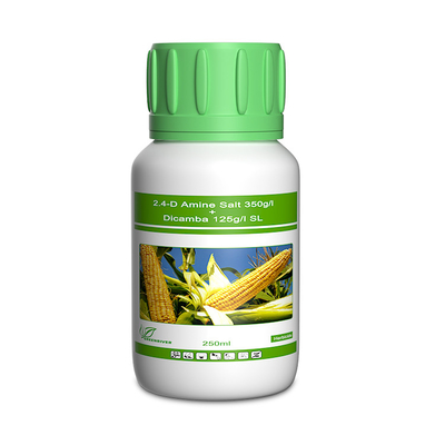 China Dicamba / Triasulfurón Herbicidas selectivos cas 1918-00-9 / 82097-50-5 distribuidor 