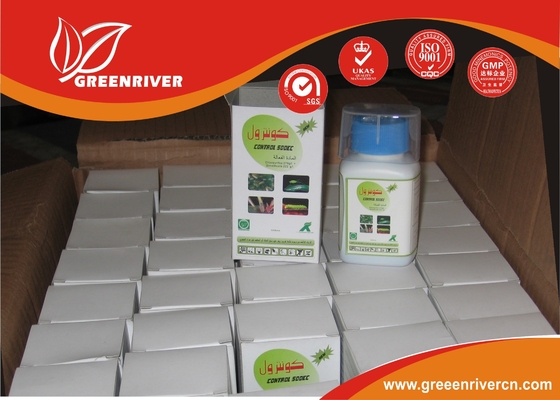 El Mejor Cas 2921-88-2 Chlorpyrifos sistémico para uso doméstico Insecticida orgánico para plagas para la venta