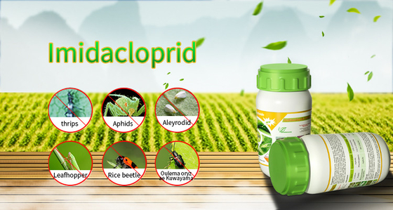 Cas 138261-41-3 Imidacloprido 20% SL insecticida Los productos matan a los insectos de la harina proveedor 