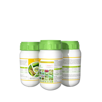 Cas 138261-41-3 Imidacloprido 20% SL insecticida Los productos matan a los insectos de la harina proveedor 
