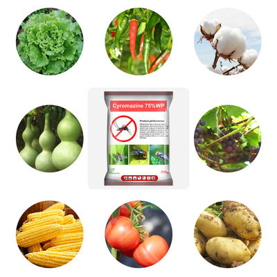 Cyromazine 75%WP insecticide for leaf miners CAS No 66215-27-8