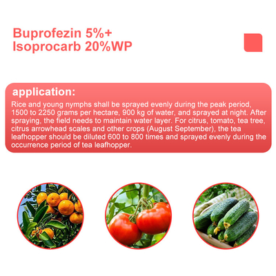 Buprofezina 25%SC Insecticidas para las patatas de arroz, cítricos, CAS no 69327-76-0 proveedor 