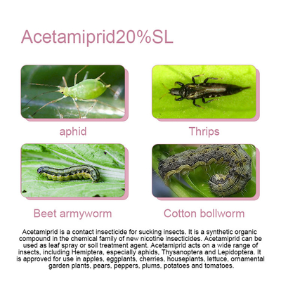 Insecticida orgánico sistémico acetamiprid 20%SL No CAS 135410-20-7 proveedor 