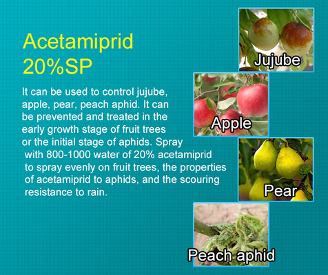 Cas 135410-20-7 Acetamiprid 20%SP Insecticida orgánico para hortalizas de hoja, cítricos proveedor 