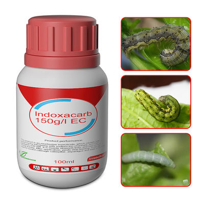 cas 144171-61-9 Indoxacarb 15%SC systemic insecticides for Cotton / vegetables / fruit