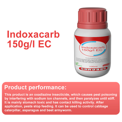 Cas 144171-61-9 Indoxacarb 15%SC insecticidas sistémicos para el algodón / verduras / frutas proveedor 
