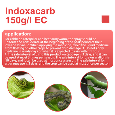 Cas 144171-61-9 Indoxacarb 15%SC insecticidas sistémicos para el algodón / verduras / frutas proveedor 
