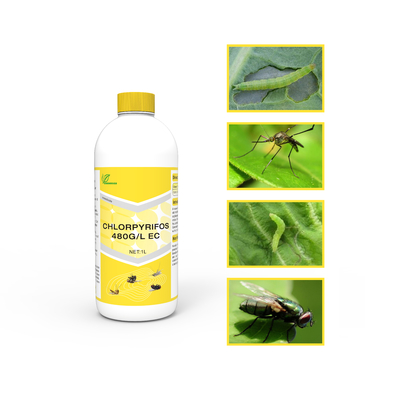Clorpirifos 48% CE insecticida de amplio espectro, plaguicida sistémico cas 2921-88-2 proveedor 