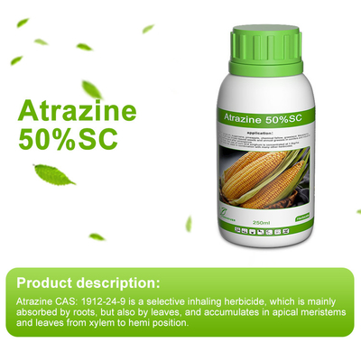 Atrazina 50% SC Herbicida selectivo de la triazina proveedor 
