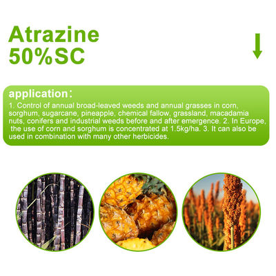 Atrazine 50%SC Selective triazine herbicide