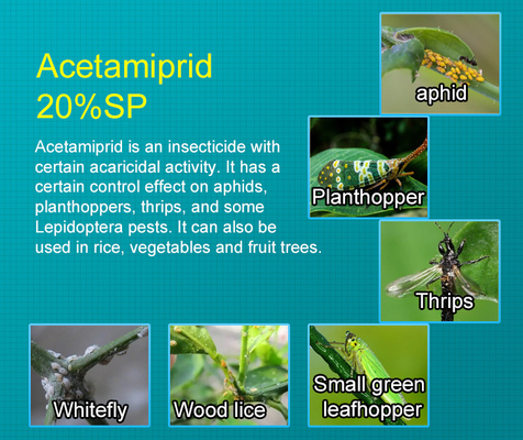 Insecticida orgánico sistémico en polvo para árboles frutales, cas 135410-20-7 proveedor 