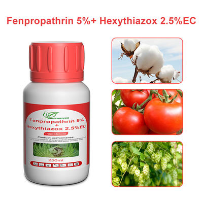 Hexythiazox 10%WP Non - systemic acaricide Agricultural Pesticides