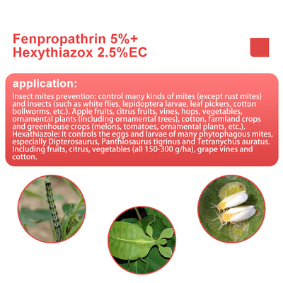 Hexitiazox 10%WP Acaricida no sistémico proveedor 