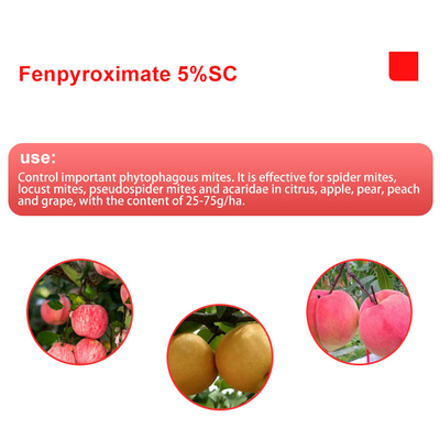 Fenpiroximato 5% SC acaricida CAS NO 34098-61-6 en polvo, líquido proveedor 