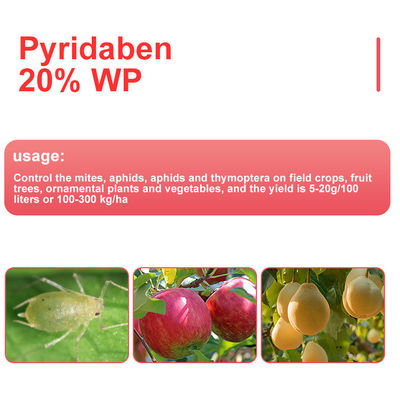 Non - systemic pyridaben Acaricide Products in Off white powder