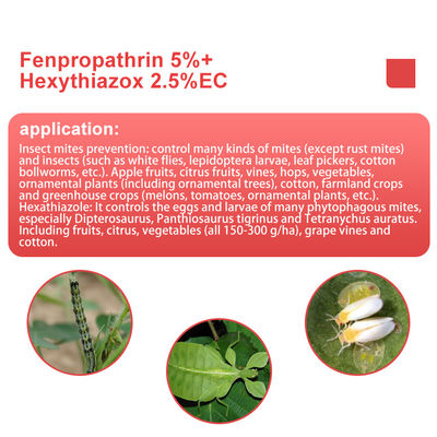 Hexythiazox 10%WP Commercial Pesticides Non - systemic acaricide