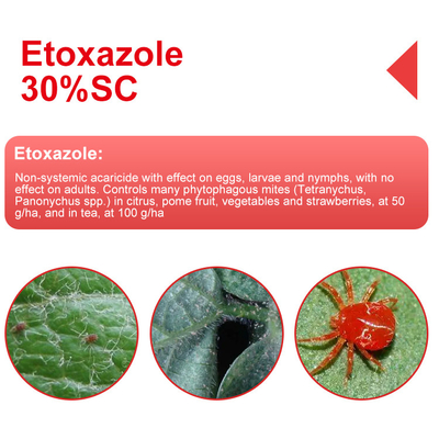No sistémico Etoxazol 11% SC acaricida de contacto con efecto sobre huevos, larvas, ninfas proveedor 