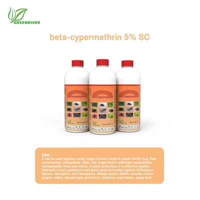Beta-cipermetrina 0,6% DP Insecticidas para el control de plagas para cucarachas y mosquitos proveedor 
