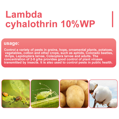 Lambda cyhalothrin 10% WP Insecticidas para el control de plagas CAS 91465-08-6 proveedor 