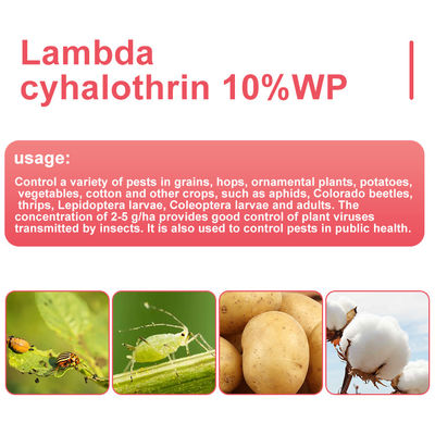 Lambda cyhalothrin 10% WP Pest Control Insecticides CAS 91465-08-6