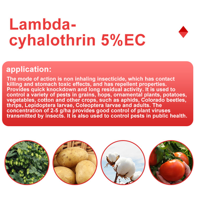 CAS 91465-08-6 Insecticida piretroide sintético no sistémico para arañas proveedor 