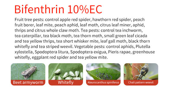 CAS 82657-04-3 powder Bifenthrin insecticide , Honey Bee Insecticide