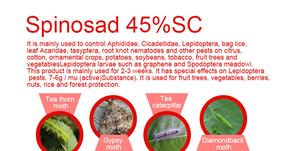 168316-95-8 Arroquímico Biológico Pesticidas Spinosad Insecticida 48%SC proveedor 