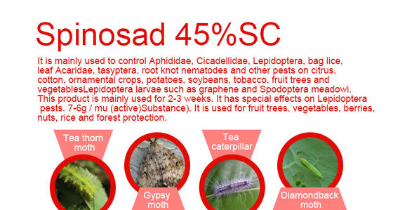 48%SC Spinosad Insecticide 168316-95-8 Vegetable Garden Insecticides
