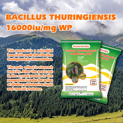 Bacillus subtilis powder Biological Pesticides Insecticide for legume , aubergines