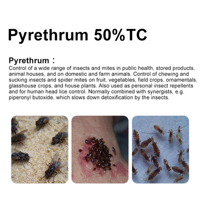 El 50% de la tecnología de piretro Insecticida pesticidas biológicos cas 8003-34-7 proveedor 