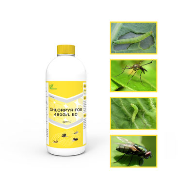CAS 2921-88-2 Chlorpyrifos 48%EC Broad Spectrum Insecticide for cutworms