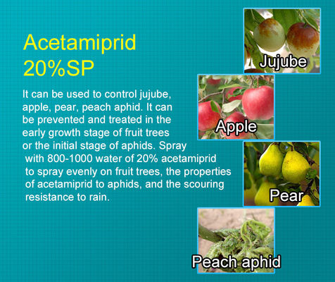 Acetamiprid 25%WP Insecticide Chemical Pesticide for aphids , CAS 135410-20-7