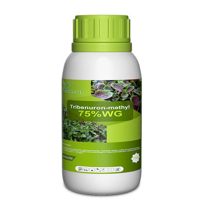 101200-48-0 Tribenuron Methyl Selective Herbicides For Maize , White powder