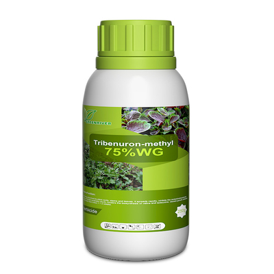 101200-48-0 Tribenuron metilo herbicidas selectivos para el maíz, polvo blanco proveedor 