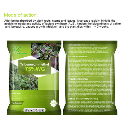 101200-48-0 Tribenuron metilo herbicidas selectivos para el maíz, polvo blanco proveedor 