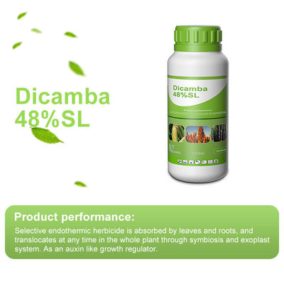 Dicamba / Triasulfuron Selective Herbicides cas 1918-00-9 / 82097-50-5