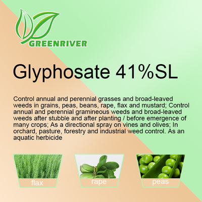 Herbicida de amplio espectro de acción rápida con glifosato 41%SL proveedor 