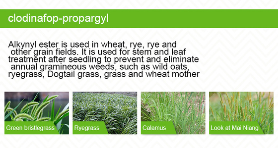 Pesticidas para la agricultura orgánica Herbicidas para hierbas para Vena / Lolium / Setaria / Phalaris / Alopecurus proveedor 