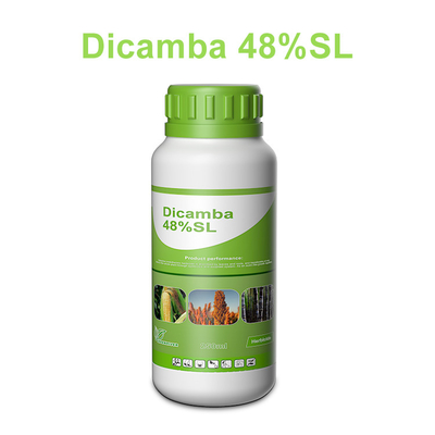 Dicamba 48% SL Herbicida Roundup mata las malas hierbas de hueco amplio proveedor 