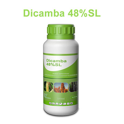 Dicamba 48% SL Roundup Herbicide Kill Broad Keaved Weeds