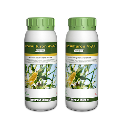 Nicosulfurón Herbicidas selectivos 111991-09-4 / herbicida post emergente proveedor 