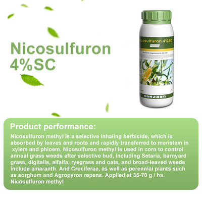 Nicosulfurón Herbicidas selectivos 111991-09-4 / herbicida post emergente proveedor 