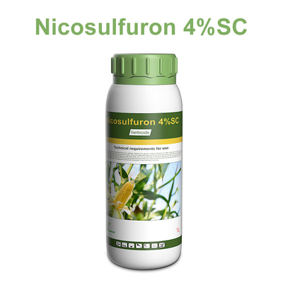 Nicosulfurón Herbicidas selectivos 111991-09-4 / herbicida post emergente proveedor 