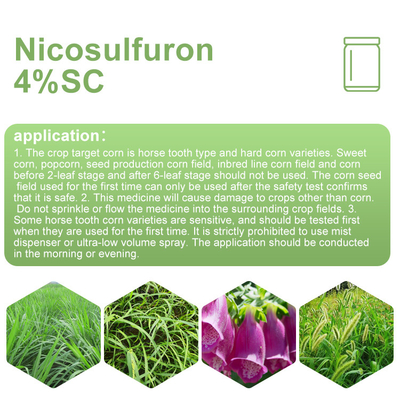 Nicosulfurón Herbicidas selectivos 111991-09-4 / herbicida post emergente proveedor 